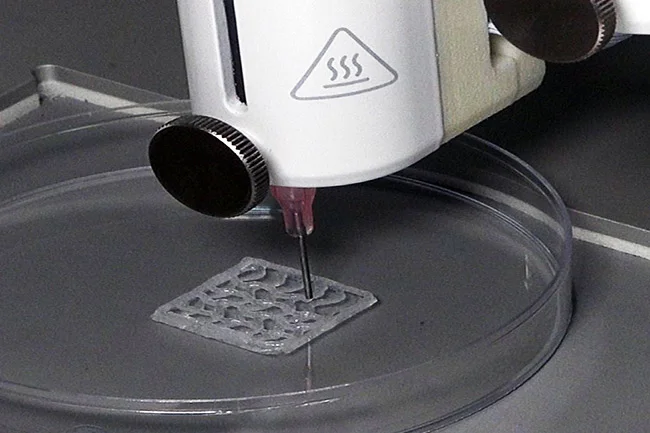 FiberColl Flex-N bioink